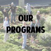 Programs
