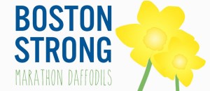 Marathon Daffodils 